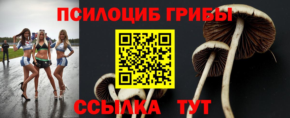 Урай  наркотики  Вход с VPN  Галлюциногенные грибы Psilocybe 